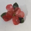 Fleur de jade rouge et ses feuilles