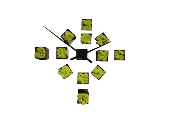 Horloge DIY Lichen stabilisé 12 blocs