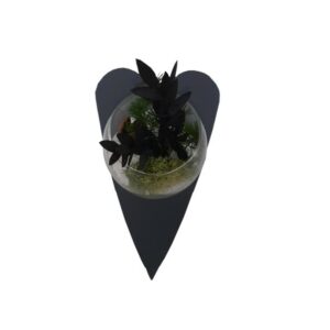 Vase boule Cœur, plantes stabilisées, déco Nature, design métal