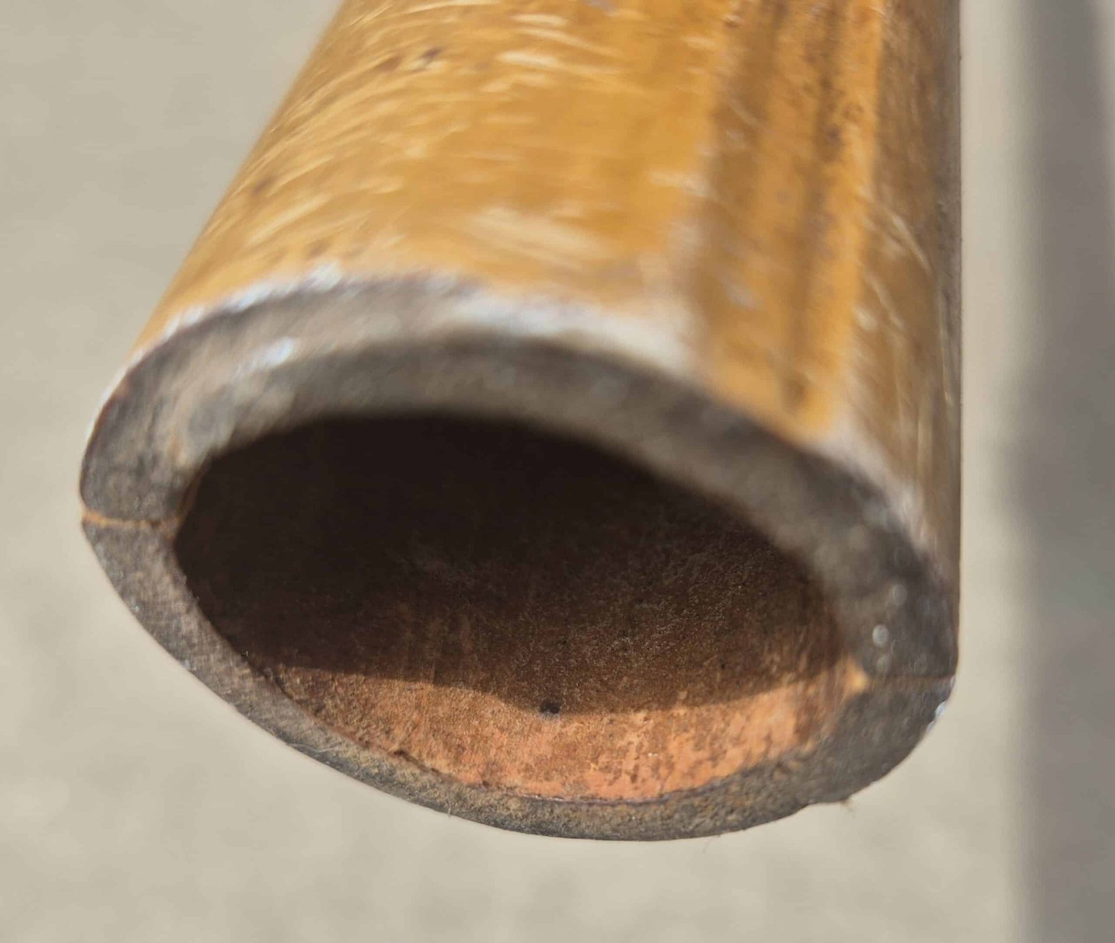Canne bambou dorée H200cm (3)