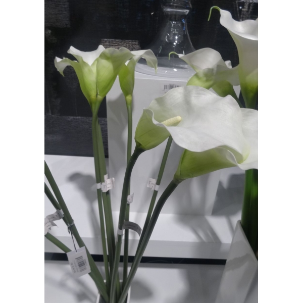 Fleur Arum blanc