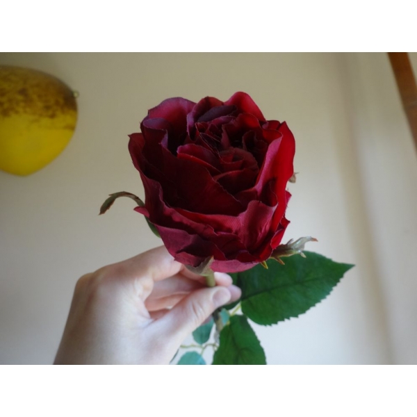 Fleur Rose fuchsia