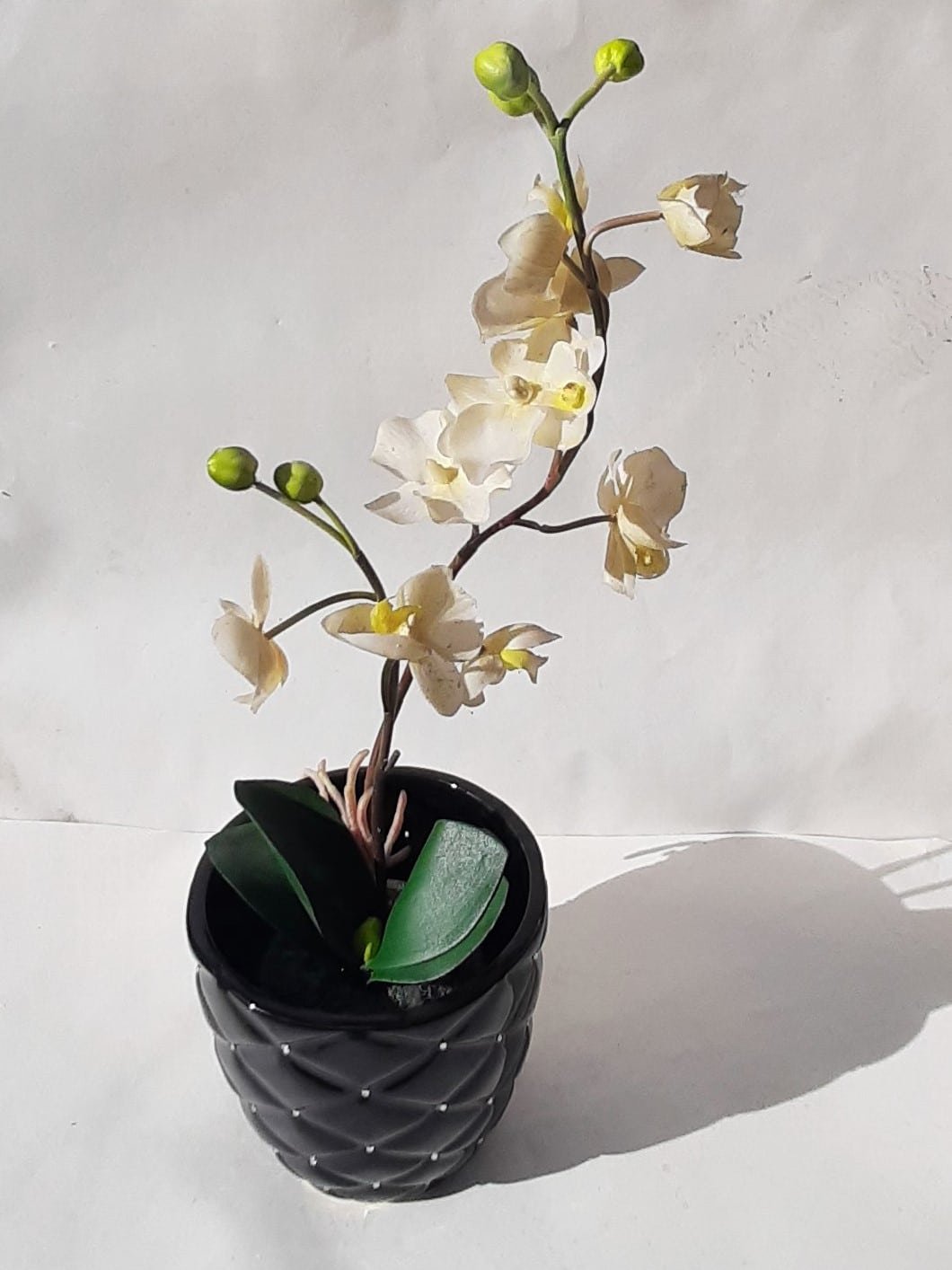 Cache pot céramique noir Cache pot noir facetté - Cache pot décoratif - Ornement décoratif plantes - Déco fleurie - Objet décoratif design - Déco chic de table - Cadeau déco