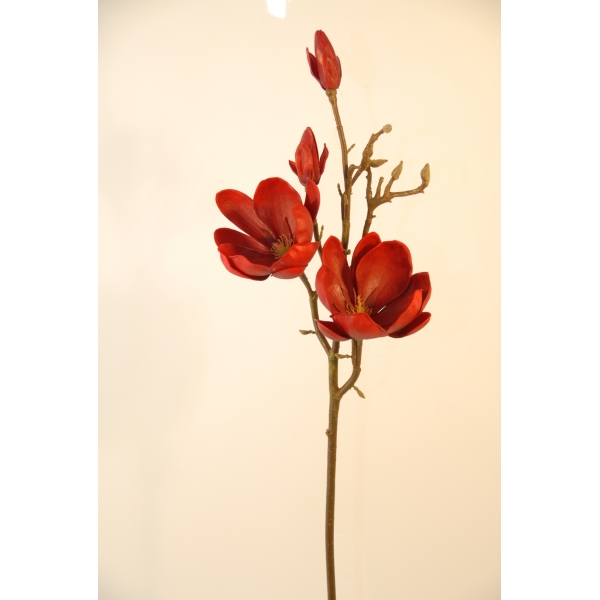 Fleurs Magnolia rouge