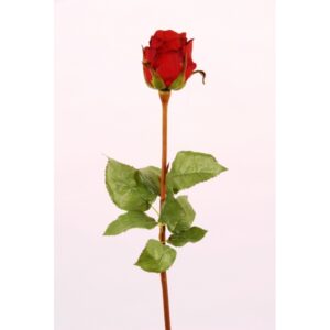 Fleur Rose fuchsia