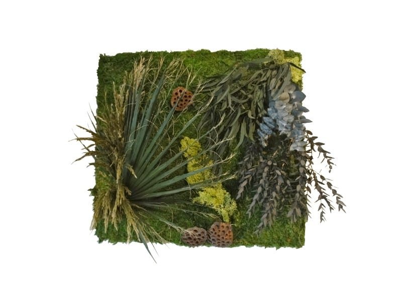 Cadre végétaux stabilisés décoration murale carrée 55 cm Cadre végétaux stabilisés - Tableau stabilisé déco - Tableau décoratif végétal - Ornement décoratif plantes - Déco fleurie - Objet décoratif design - Déco chic murale - Cadeau crémaillère