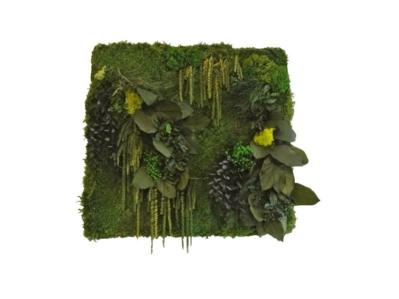 Preserved plant frame wall decoration square shape 55 cm Cadre végétaux stabilisés - Tableau stabilisé déco - Tableau décoratif végétal - Ornement décoratif plantes - Déco fleurie - Objet décoratif design - Déco chic murale - Cadeau crémaillère