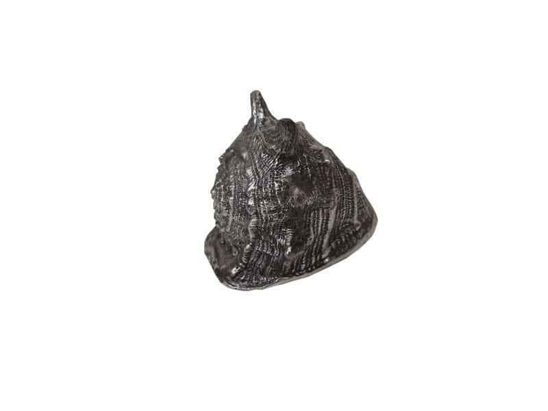 Coquillage déco en résine argenté H 12 cm Coquillage statue décoratif - Ornement d'intérieur - Déco de plage et mer - Maison déco gîte - Décoration marine