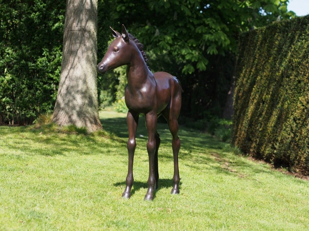 Poulain sculpture Grand Poulain sculpture bronze - Cheval décoratif - Objet décoratif équin - Décoration d'intérieur et extérieur Equitation - Œuvre d'art Cheval en bronze - Sculpture ornement jardin - Déco Métal - Déco animale - Jardin feng shui - Cadeau déco art