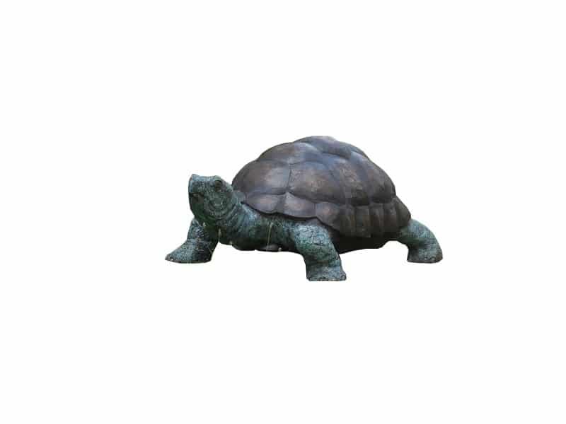 Large Bronze Turtle Sculpture Tortue sculpture bronze - Tortue décorative jardin - Objet décoratif Tortue protection - Décoration d'extérieur bronze - Oeuvre d'art en bronze - Sculpture ornement protection jardin - Déco Métal - Déco animale - Jardin feng shui - Cadeau déco art