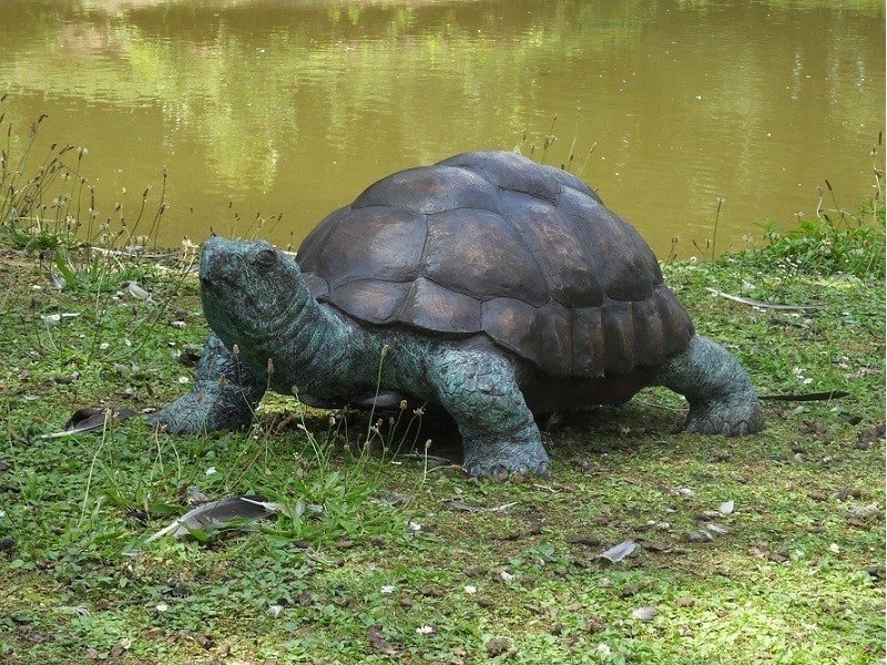 Giant Turtle Sculpture, bronze Tortue sculpture bronze - Tortue décorative jardin - Objet décoratif Tortue protection - Décoration d'extérieur bronze - Oeuvre d'art en bronze - Sculpture ornement protection jardin - Déco Métal - Déco animale - Jardin feng shui - Cadeau déco art