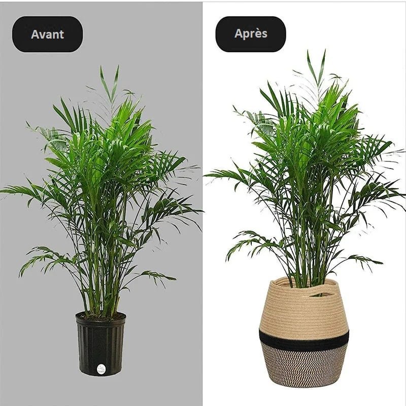 Avant / Après Mir de rangement jardinière Avant / Après Mir de rangement jardinière