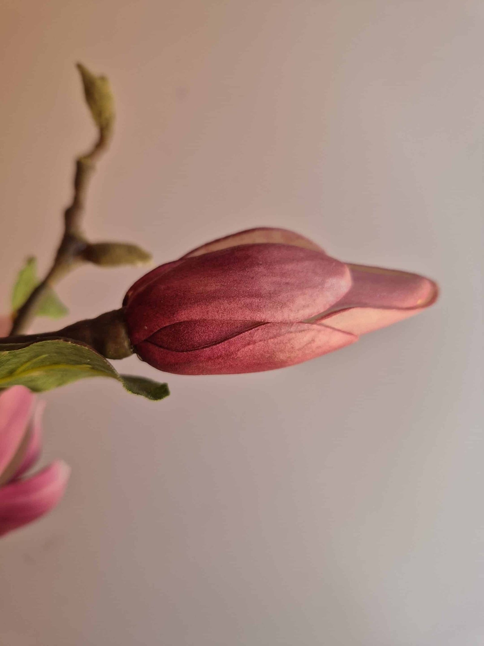 Bouton magnolia fleurs roses Fleurs Magnolia rose décorative - Magnolia d'art floral artificiel - Ornement vase - Décoration intérieur de salon - Cadeau déco - Déco fleurie