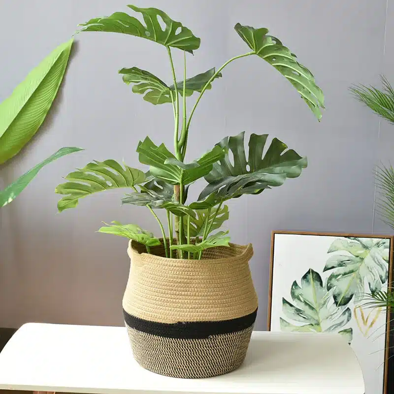 Panier cache-pot de plantes coton avec poignée