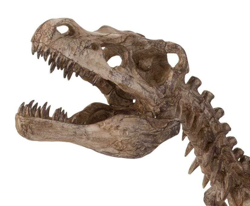 Dino raptor jurassic squelette sur pied en résine 3 Squelette Dinosaure Raptor sur pied en résine - Décoration d'intérieur