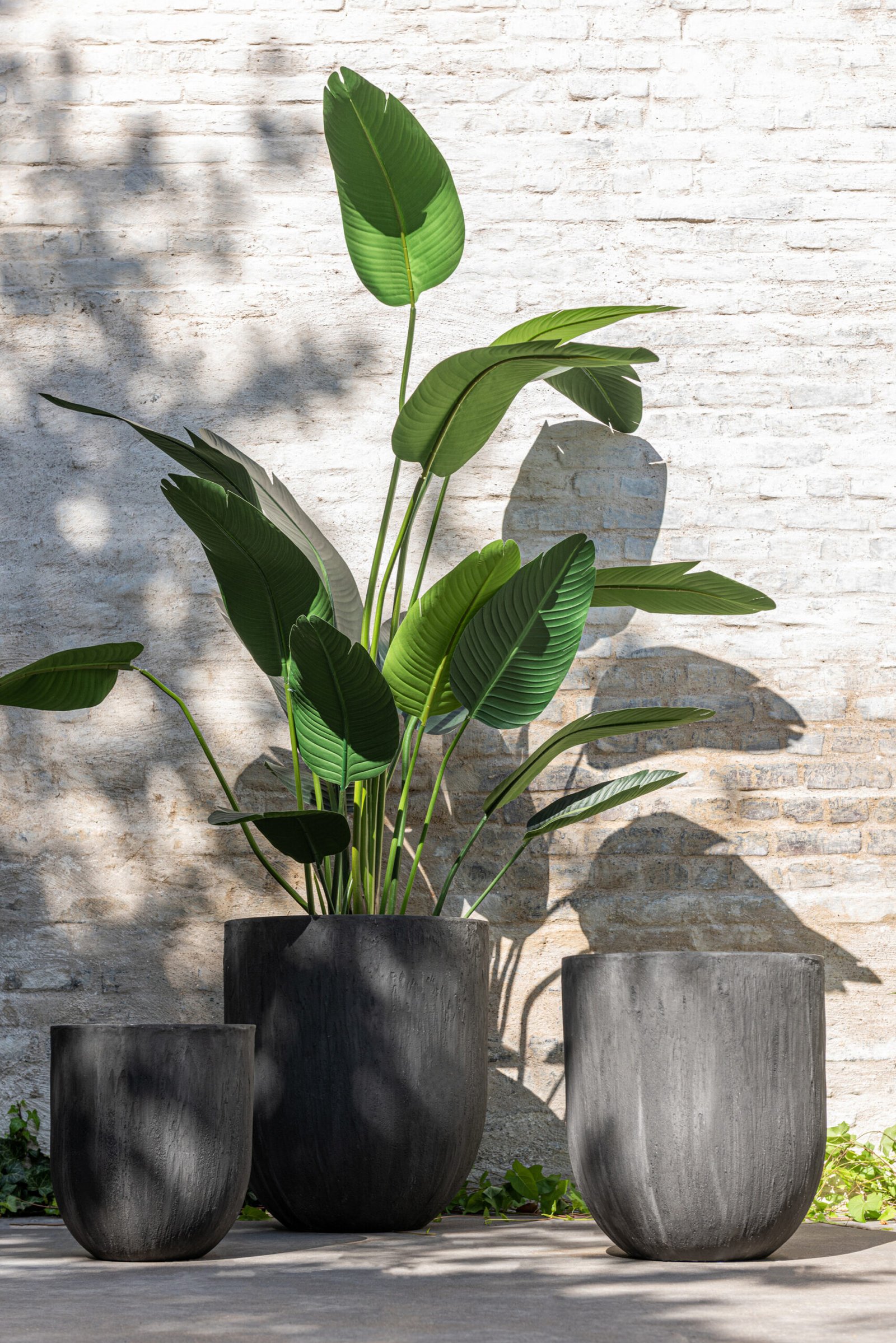 Set 3 Vases Ronds Ceramique Haut Noir Plantes déco intérieur (2) Set 3 Vases Hauts Ronds - Vase Céramique Noir - Plantes déco intérieur - Matière qualité - Déco nature Zen - Déco grandes plantes