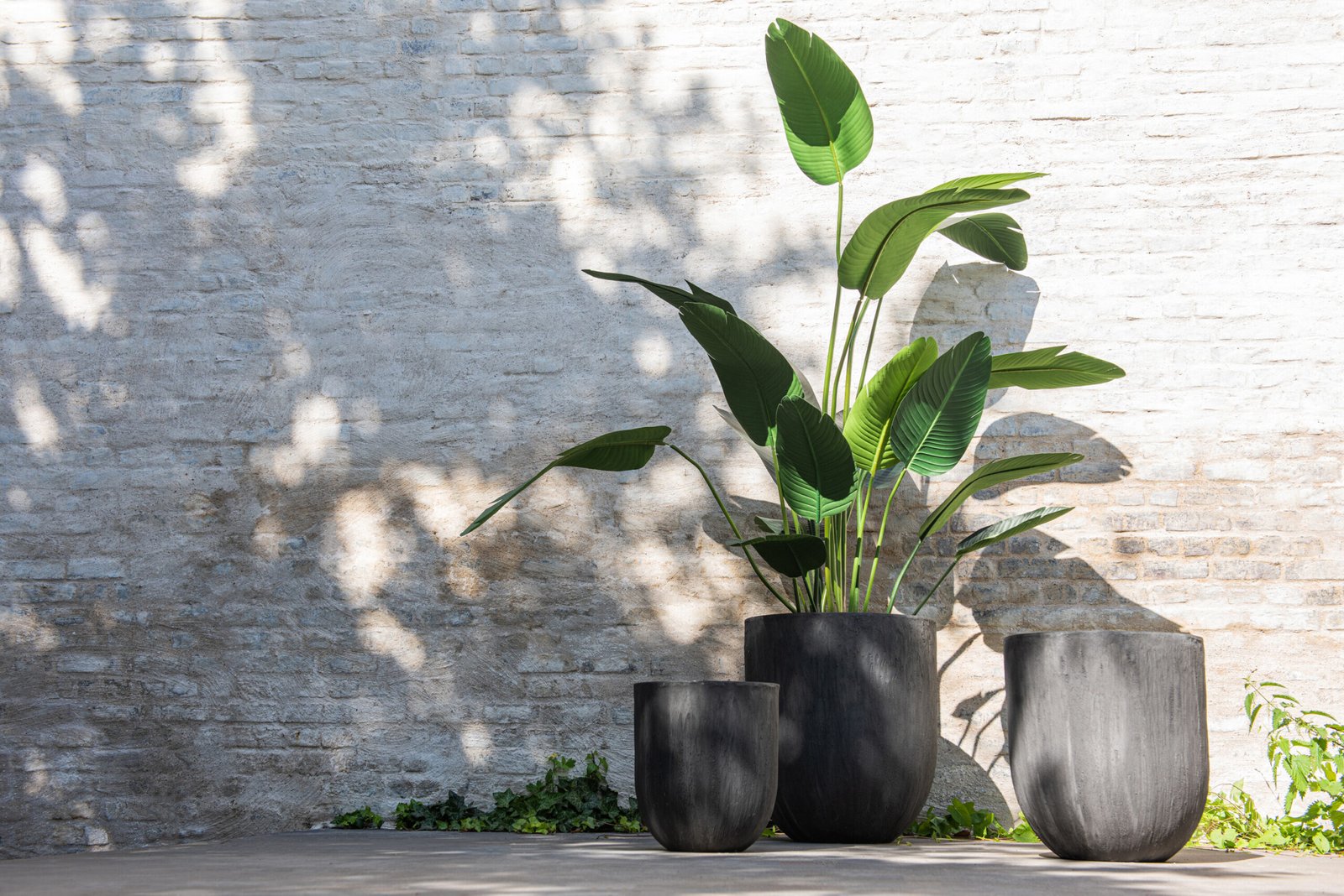 Set 3 Vases Ronds Ceramique Haut Noir Plantes déco intérieur (3) Set 3 Vases Hauts Ronds - Vase Céramique Noir - Plantes déco intérieur - Matière qualité - Déco nature Zen - Déco grandes plantes