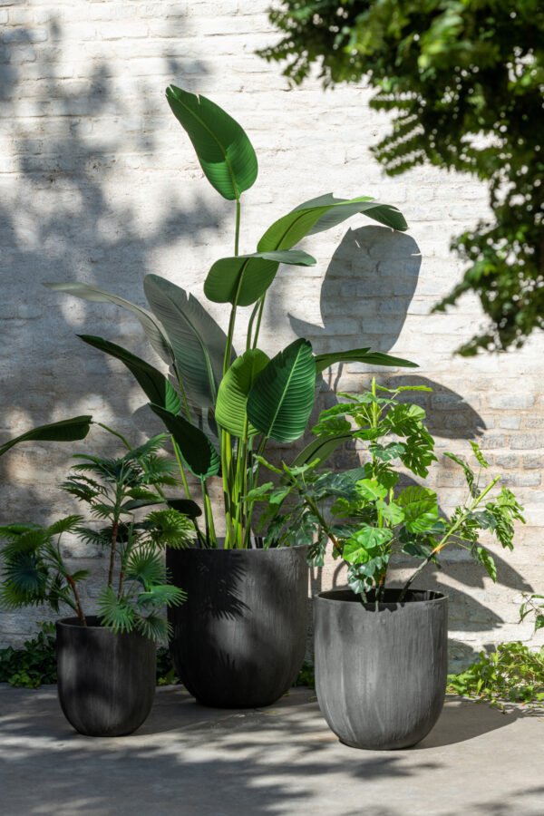 Set 3 Vases Ronds Ceramique Haut Noir Plantes déco intérieur (4)