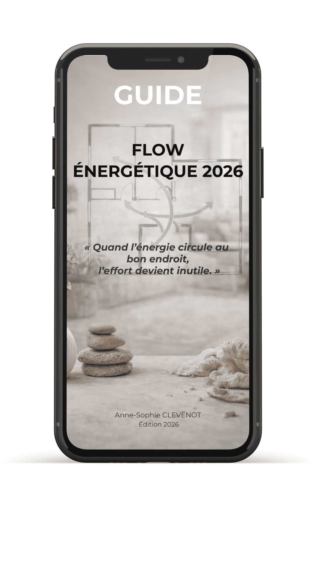 Feng shui analyse intérieur Qi 2026